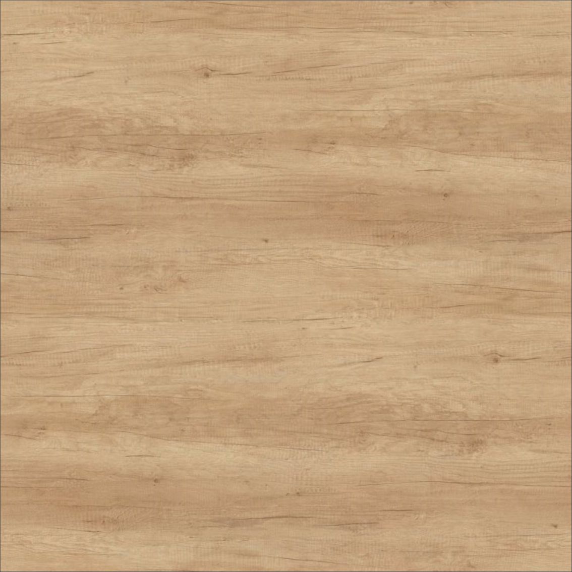 Dub Nebraska prírodný(+ 20 % )