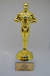 Soška Oscar - za úlohu Najlepší divoch
