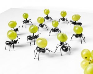 Párty mravce na občerstvenie