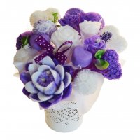 Mydlová Kytica - fialovo-biela