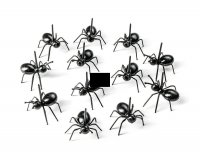 Párty mravce na občerstvenie