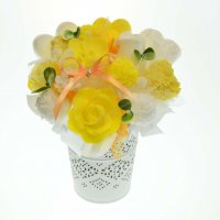 Mydlová Kytica - žlto biela
