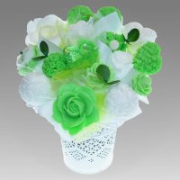 Mydlová Kytica - zelená