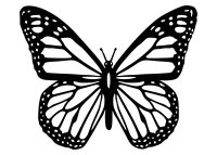 Drevený obraz – Motýľ Monarch