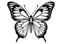 Drevený obraz – Elegantný motýľ