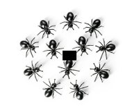 Párty mravce na občerstvenie